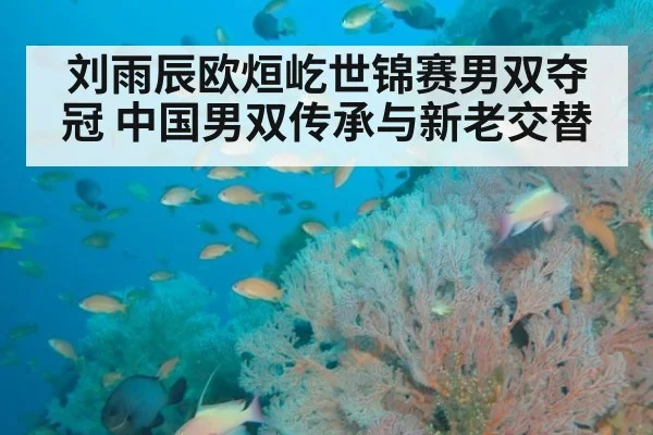 刘雨辰欧烜屹世锦赛男双夺冠 中国男双传承与新老交替