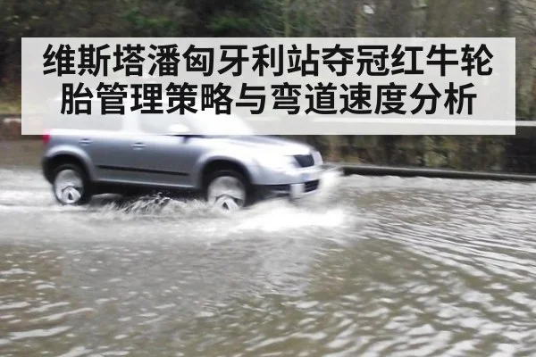 维斯塔潘匈牙利站夺冠红牛轮胎管理策略与弯道速度分析