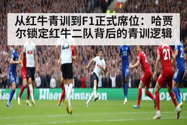 从红牛青训到F1正式席位:哈贾尔锁定红牛二队背后的青训逻辑